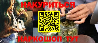стаф Гай