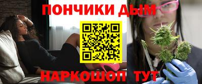 стаф Гай